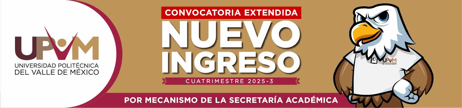 Convocatoria_ingreso_2025-3_mecanismo