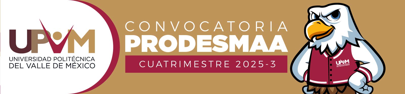 Beca PRODESMAA 2025-3